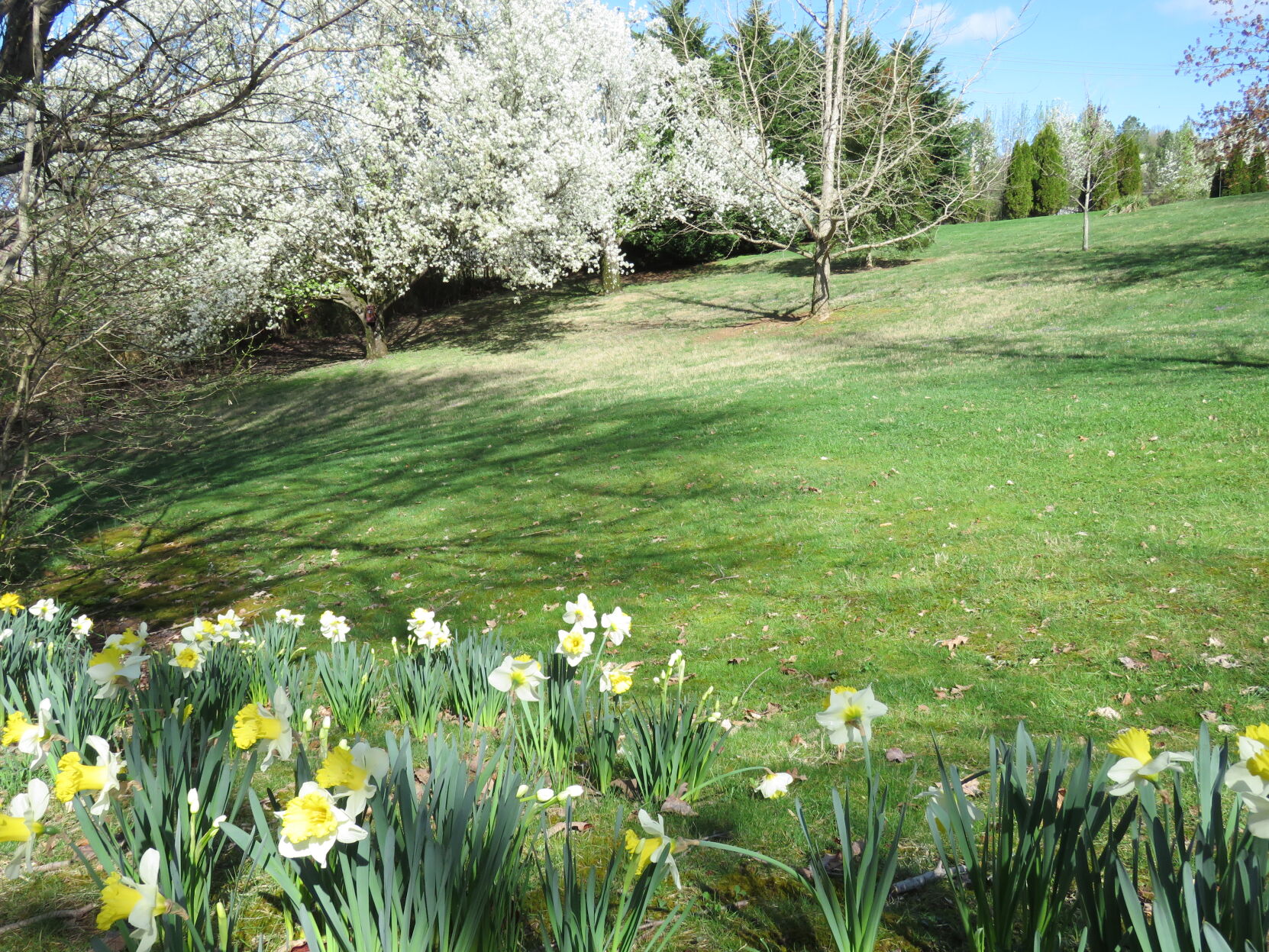 Signs of Spring